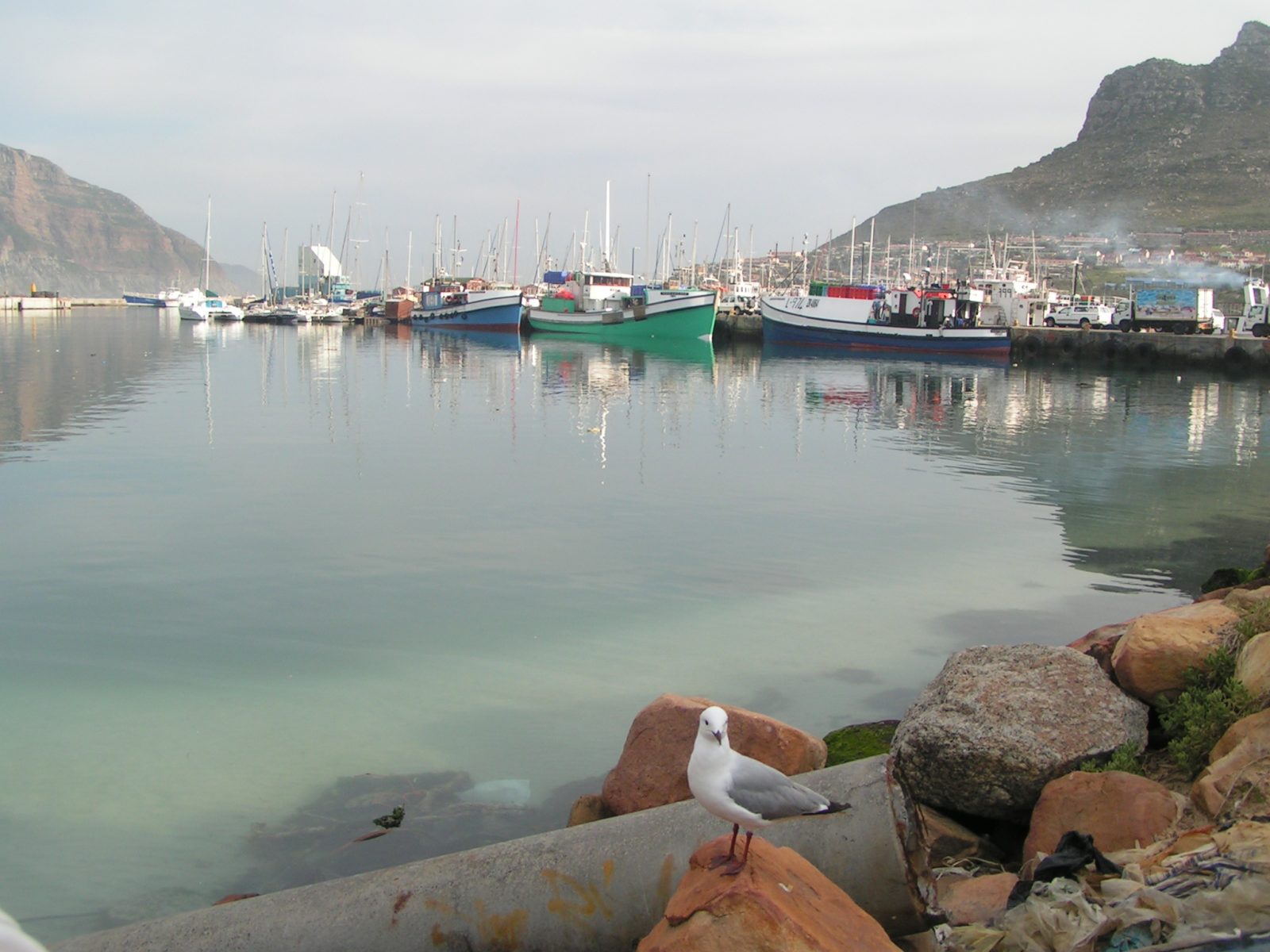 Hout Bay