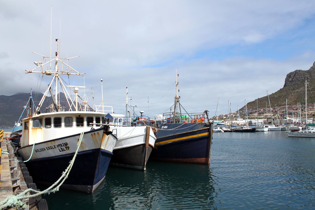 Hout Bay Harbour