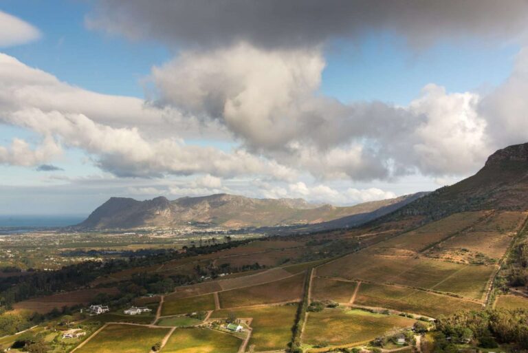 Constantia