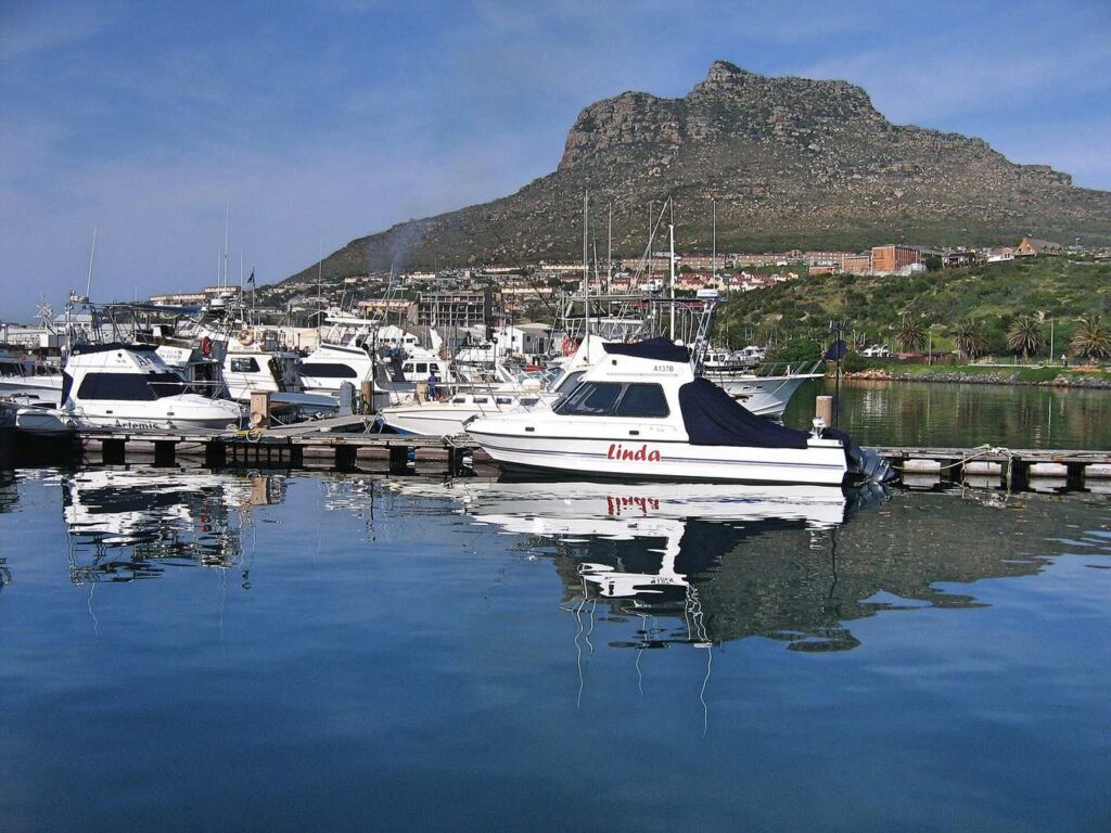 Hout Bay Harbour Cape Town - Hout Bay Harbour – Photo Hout Bay Harbour 5