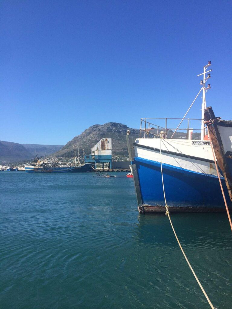 Hout Bay Harbour Cape Town - Hout Bay Harbour – Photo Hout Bay Harbour 6