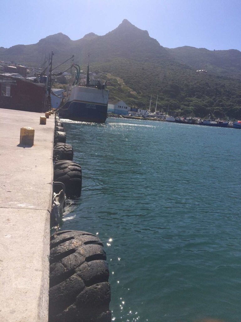 Hout Bay Harbour Cape Town - Hout Bay Harbour – Photo Hout Bay Harbour 7