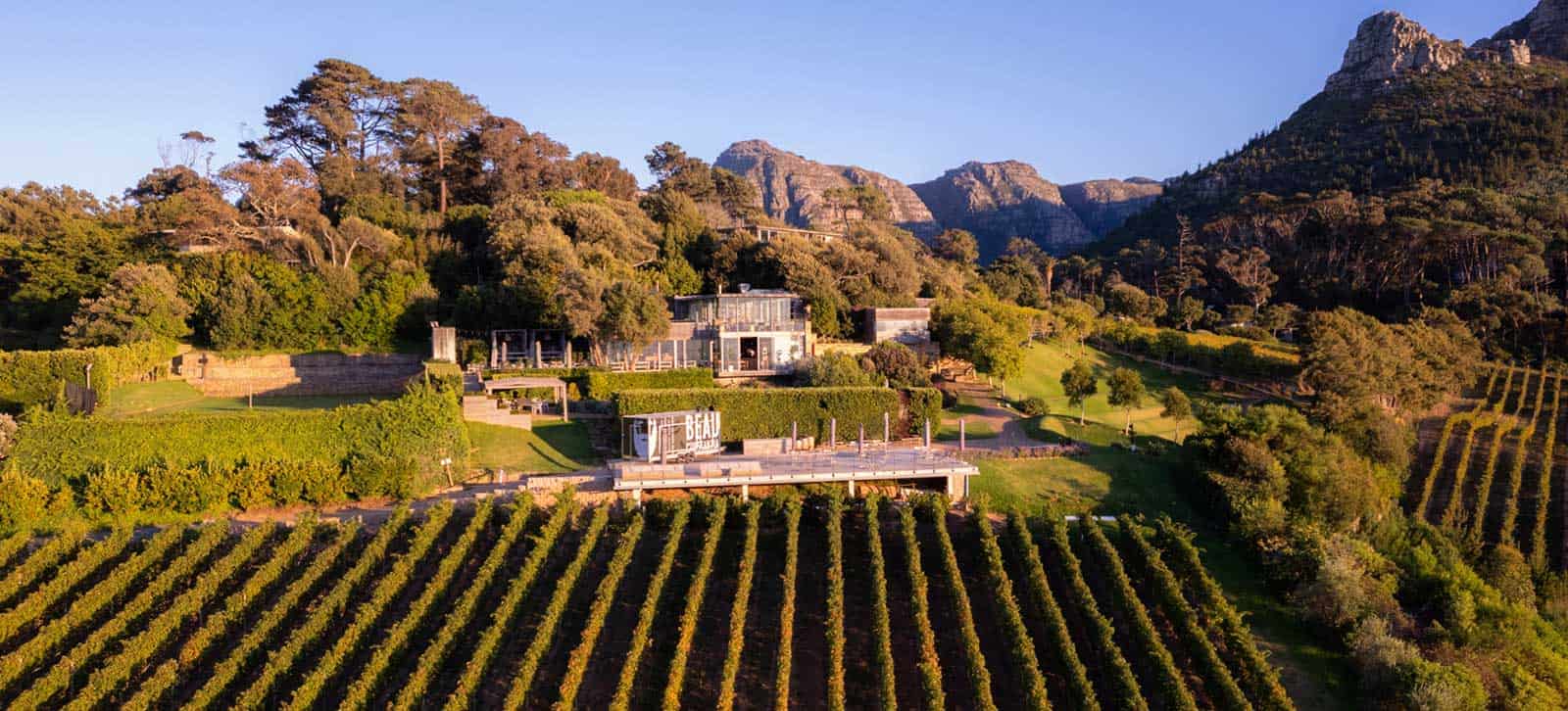 Beau Constantia Wine Estate Cape Town
